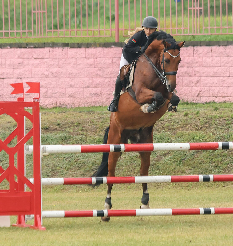 Конкур - Анатолий Шумилин