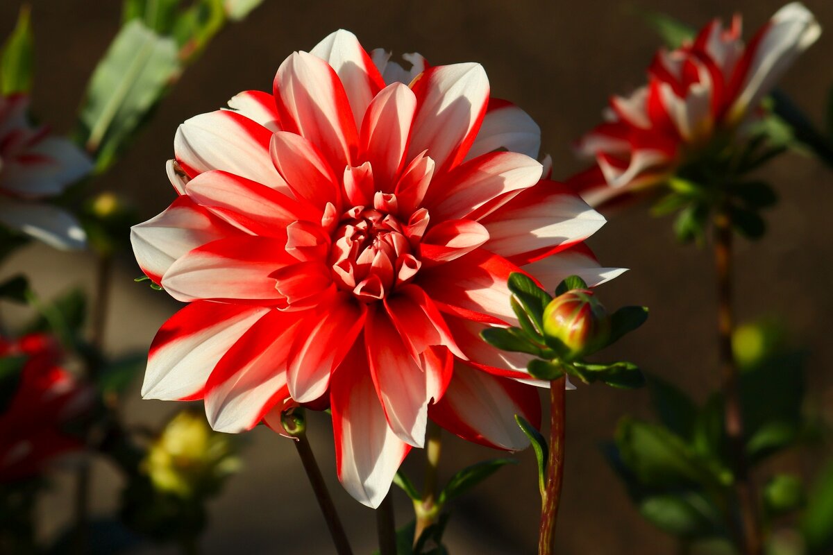 Доброе утро - Юрий. Шмаков Доброе утро - Юрий. Шмаков