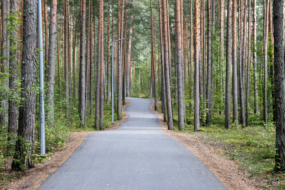 Дорожка - Валерий Пославский