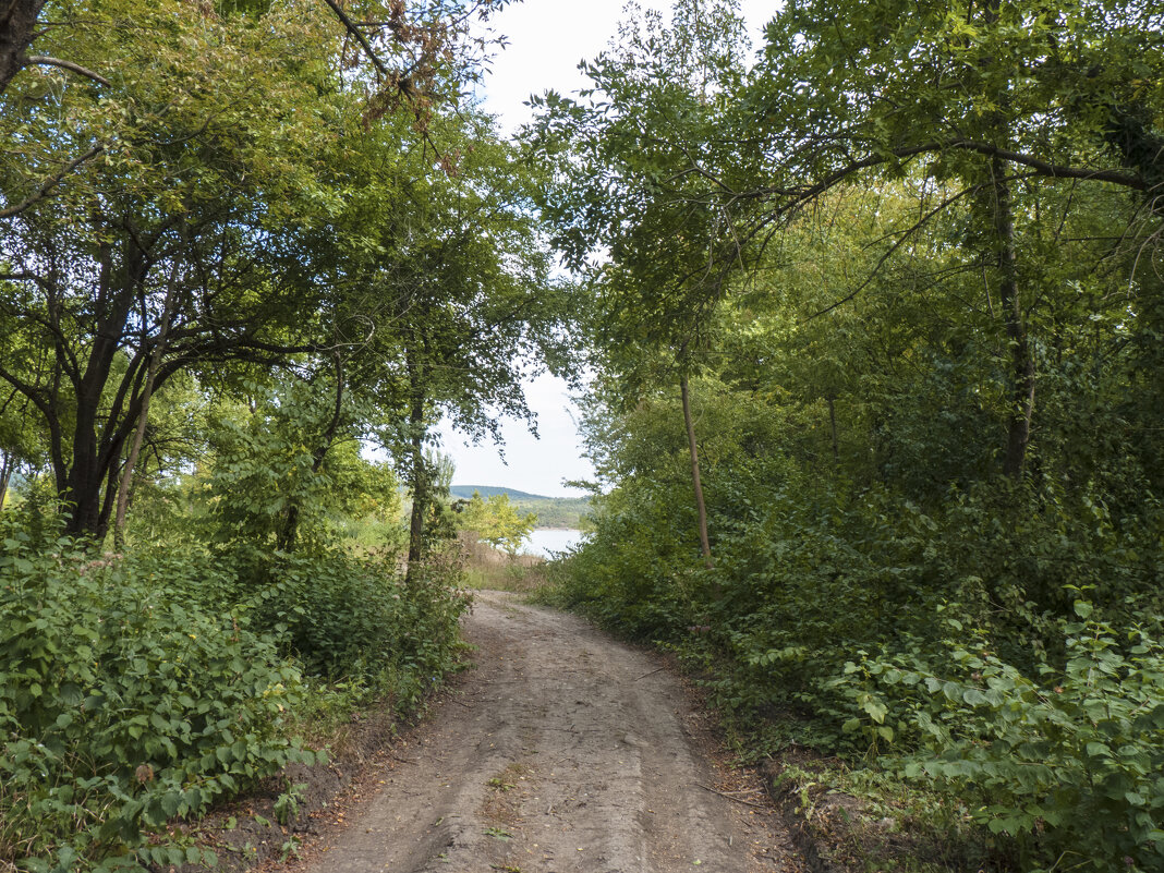 По дорге к водохранилищу - Валентин Семчишин