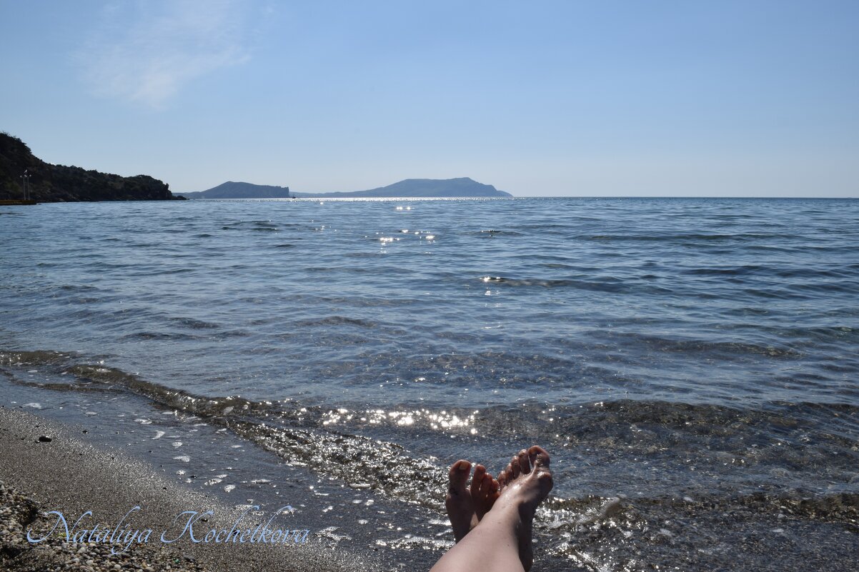 Природа Крыма - Amazing Cosmea