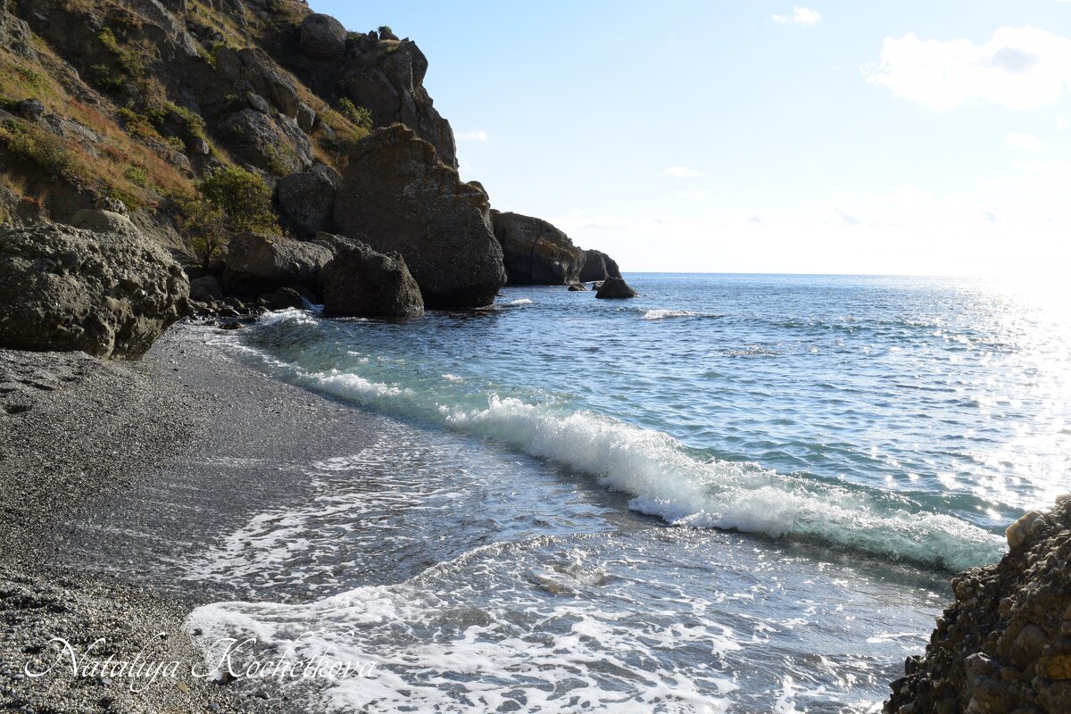 Природа Крыма - Amazing Cosmea