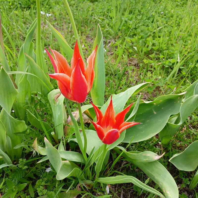 красиво - Владимир 