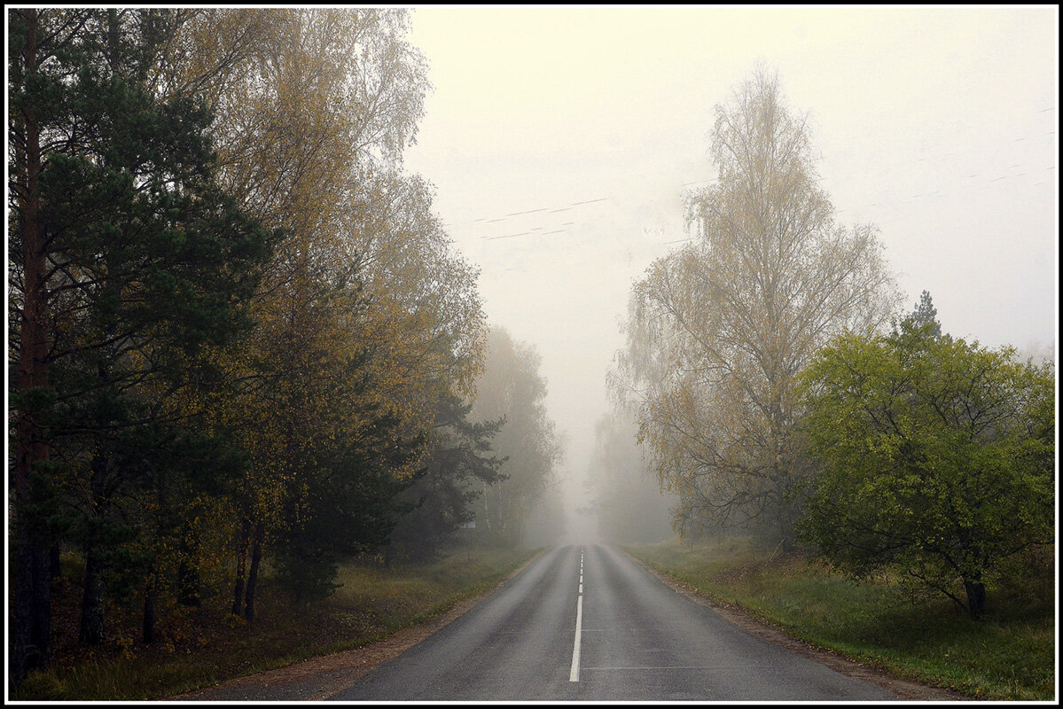 Осенний туман - Aleksandr Gal