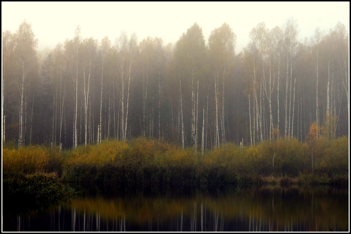 Лесное озеро - Aleksandr Gal Лесное озеро - Aleksandr Gal