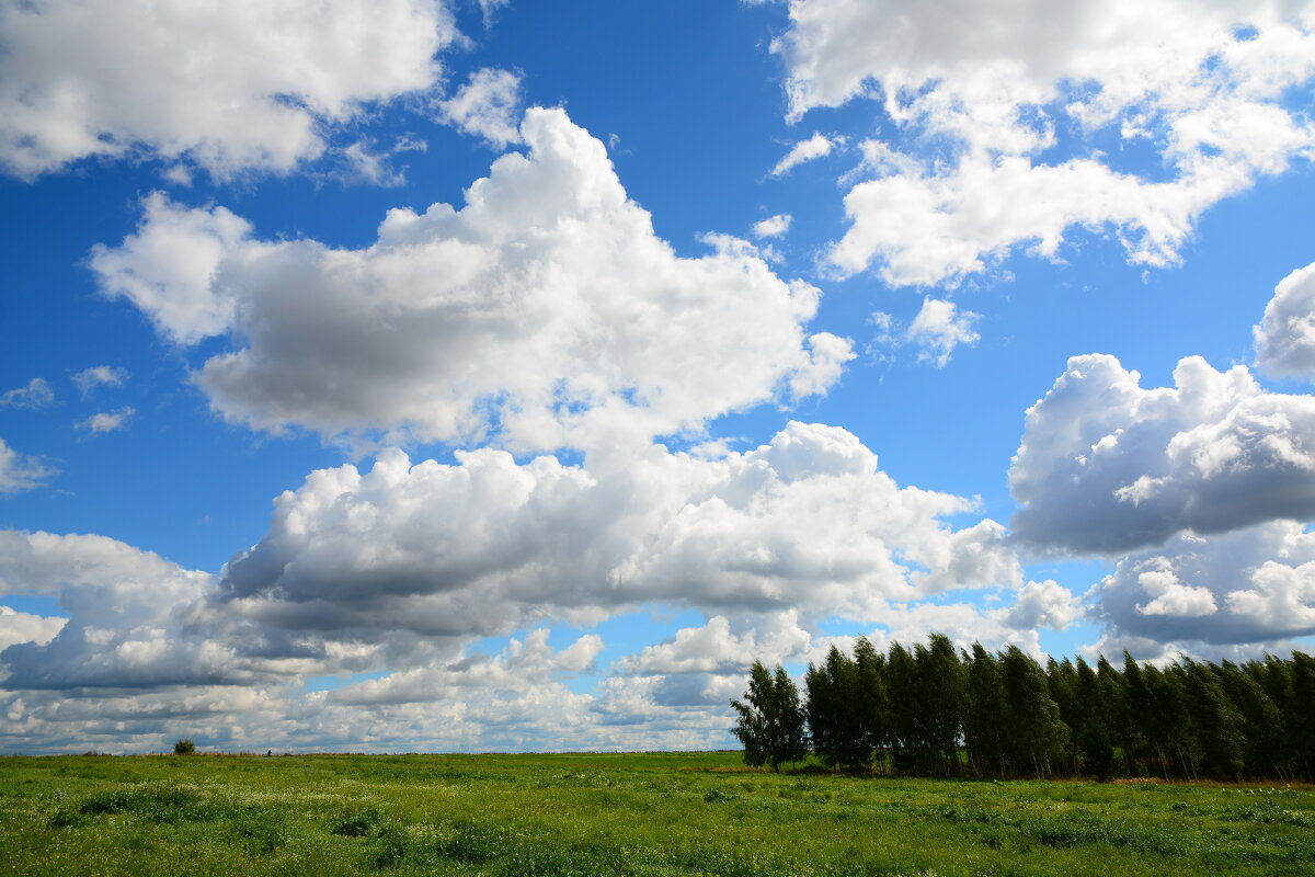 Небо. - Михаил Колосов 