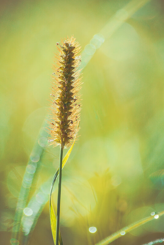 *** - Виктор Иванович Чернюк *** - Виктор Иванович Чернюк