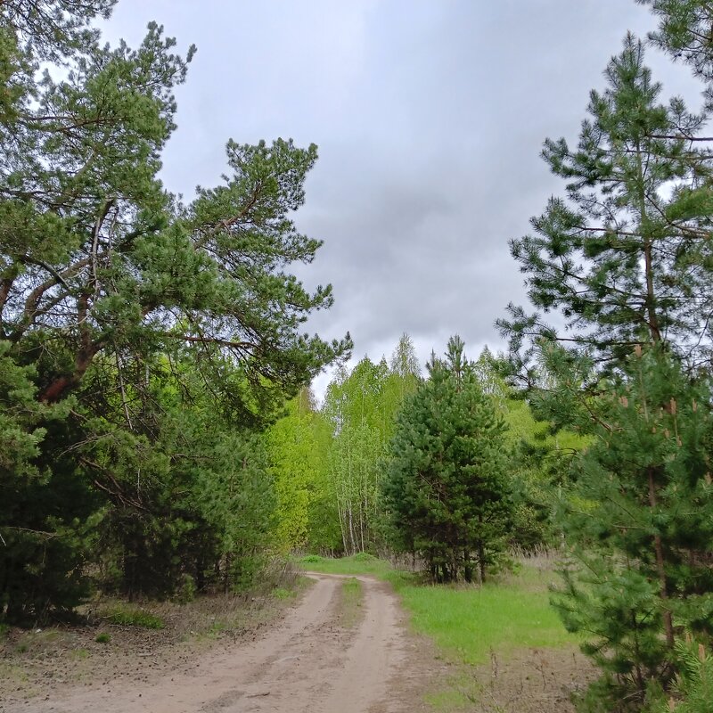 пейзаж - Владимир 