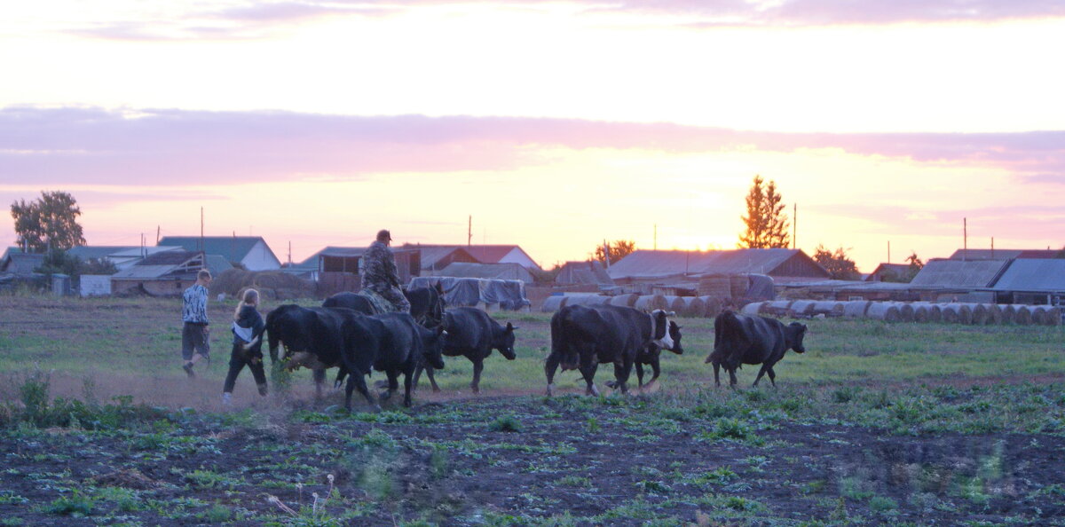 С выпасов,вечер. - сергей ермошкин