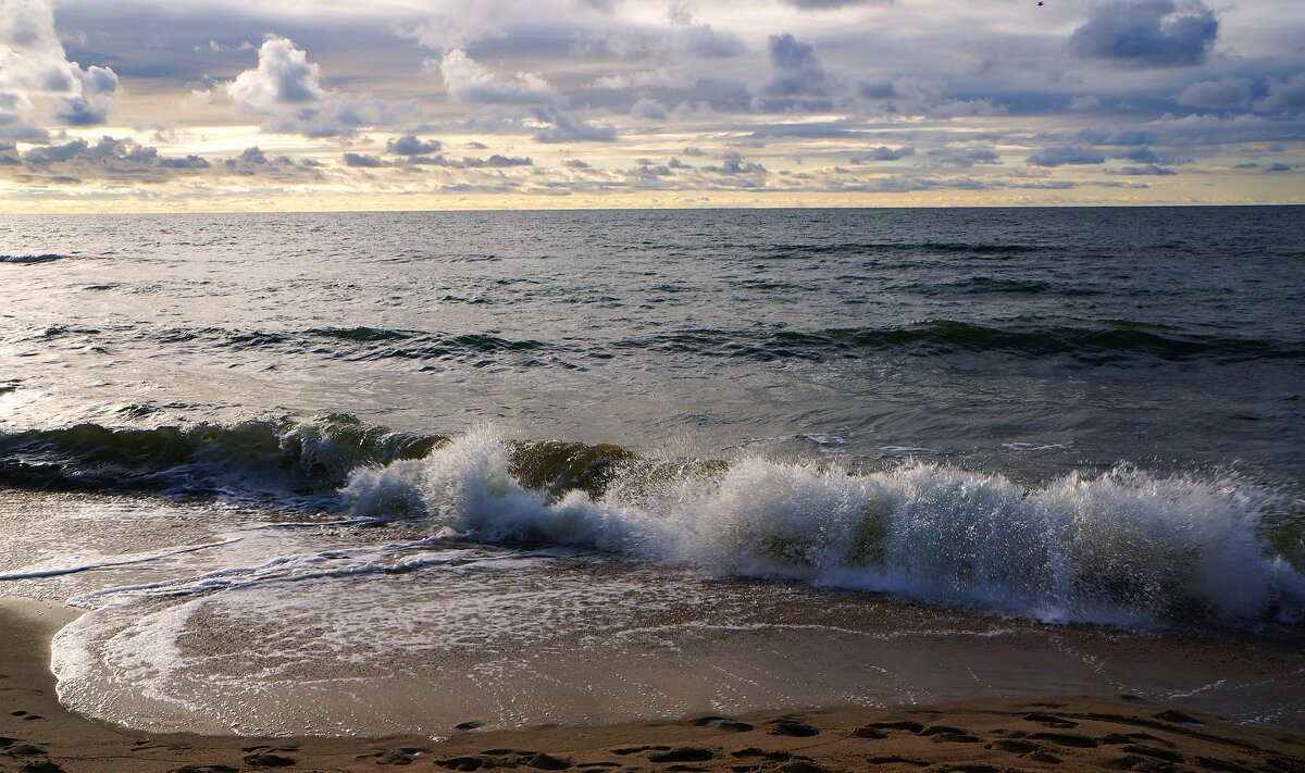 ~~~~~ - Алёна Савина