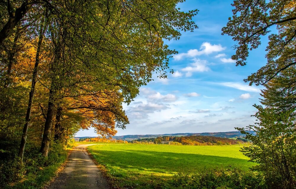 вот и лето прошло - Нельсон 