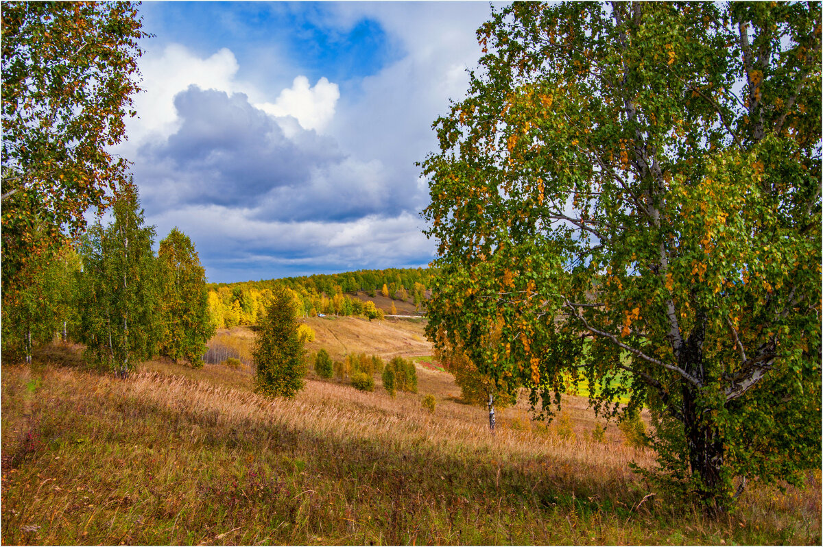 *** - Алексей Мезенцев