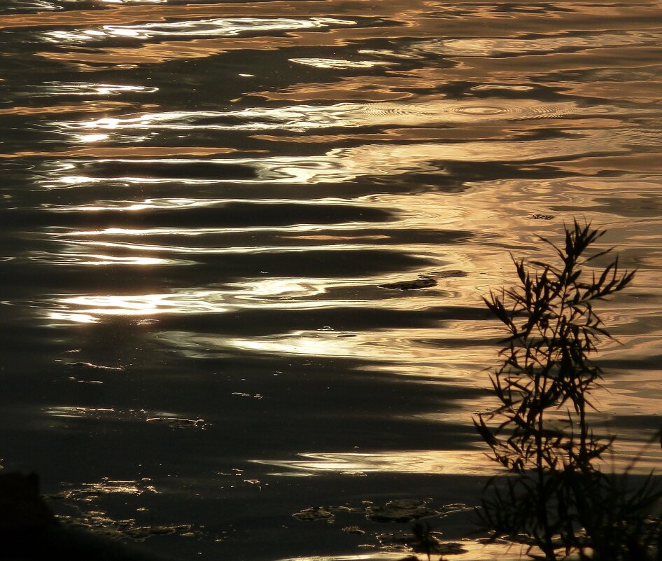 Блики - Марина 