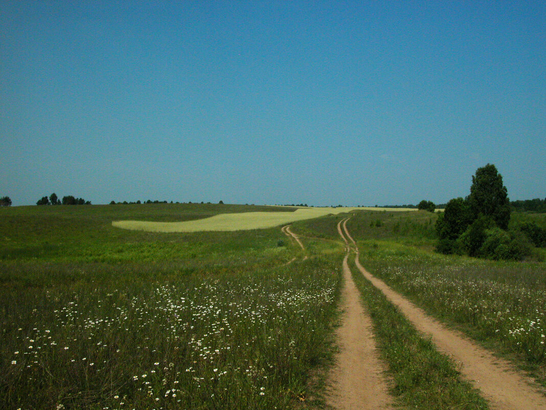 Ясный день. - Наталья Лунева Ясный день. - Наталья Лунева