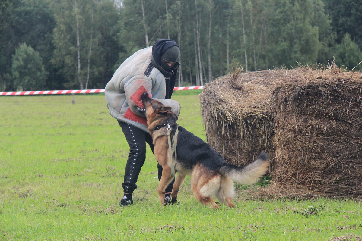 Такая работа - Маргарита ( Марта ) Дрожжина