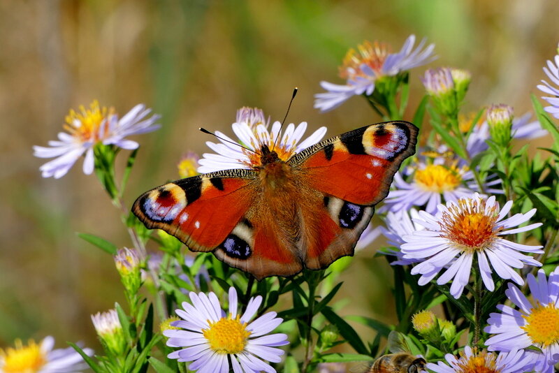 Из сегодняшней съёмки 5 - Александр Прокудин
