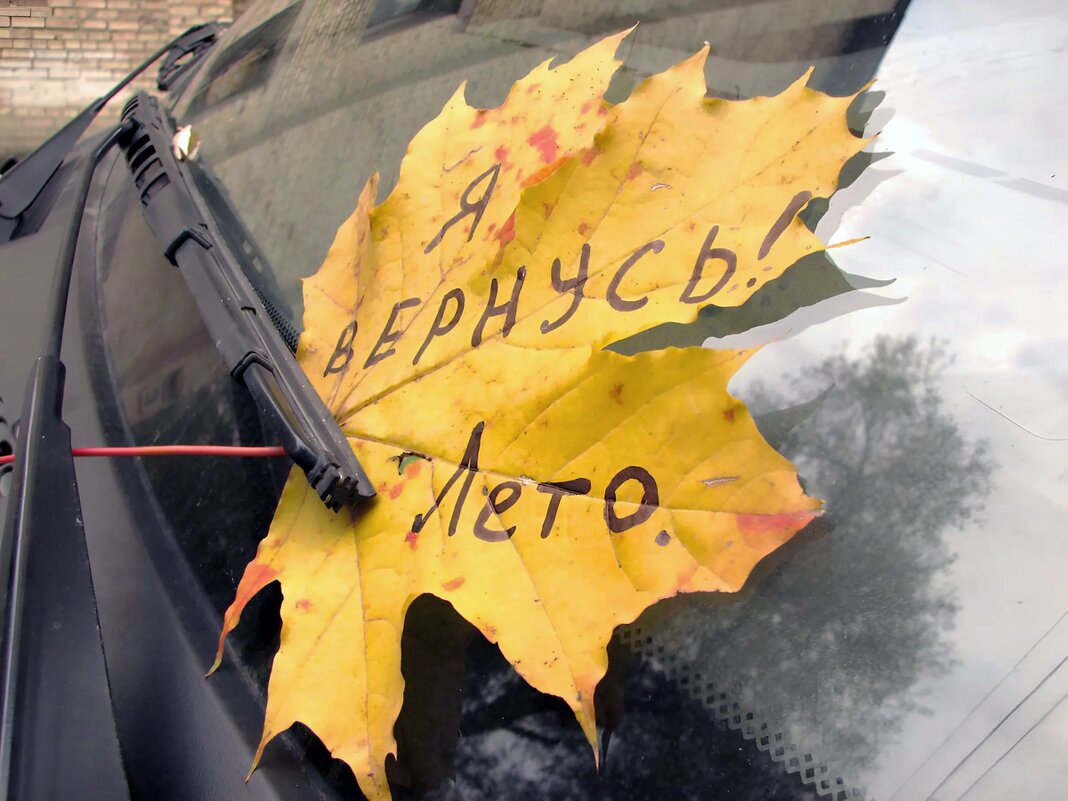 Я вернусь... - Валерий Кокорев