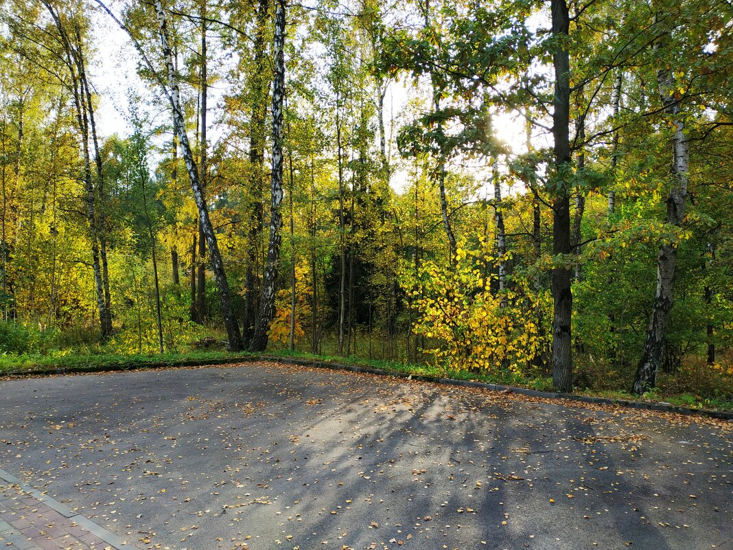 Место, в котором всегда 1 мая - Андрей Лукьянов