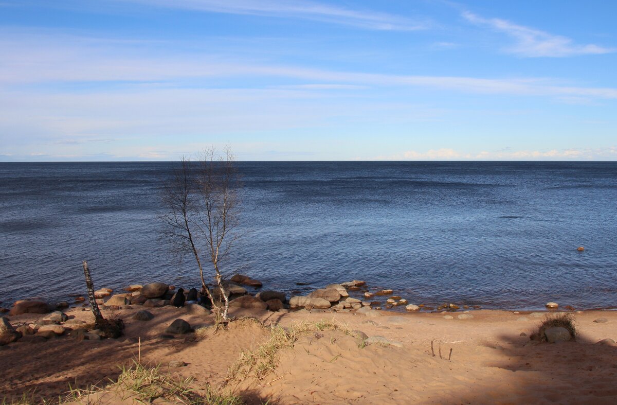 Ладожское Озеро - Наталья Герасимова