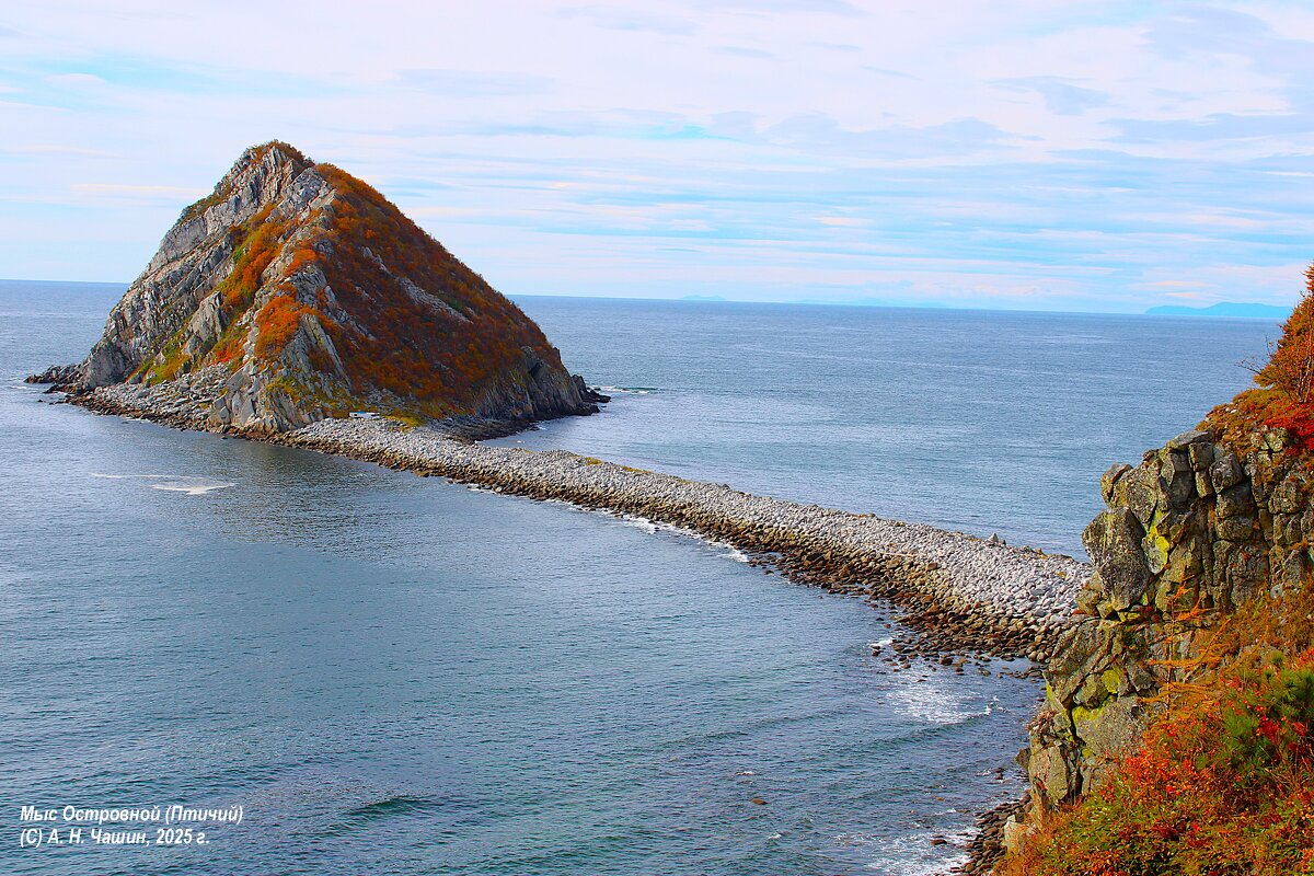 Мыс Островной (Птичий) - Александр Чашин Мыс Островной (Птичий) - Александр Чашин