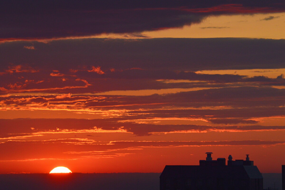 До свидания, светило! - Татьяна Лютаева