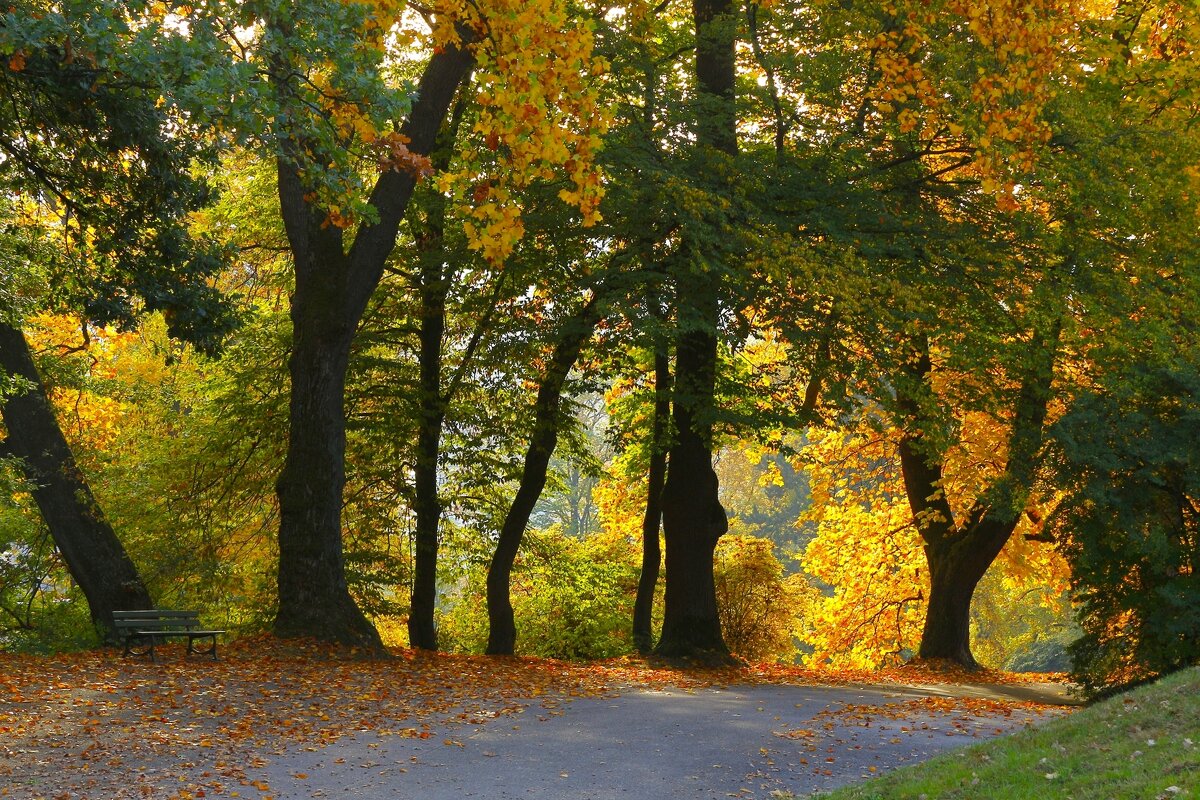 В осеннем парке тишина - Юрий. Шмаков