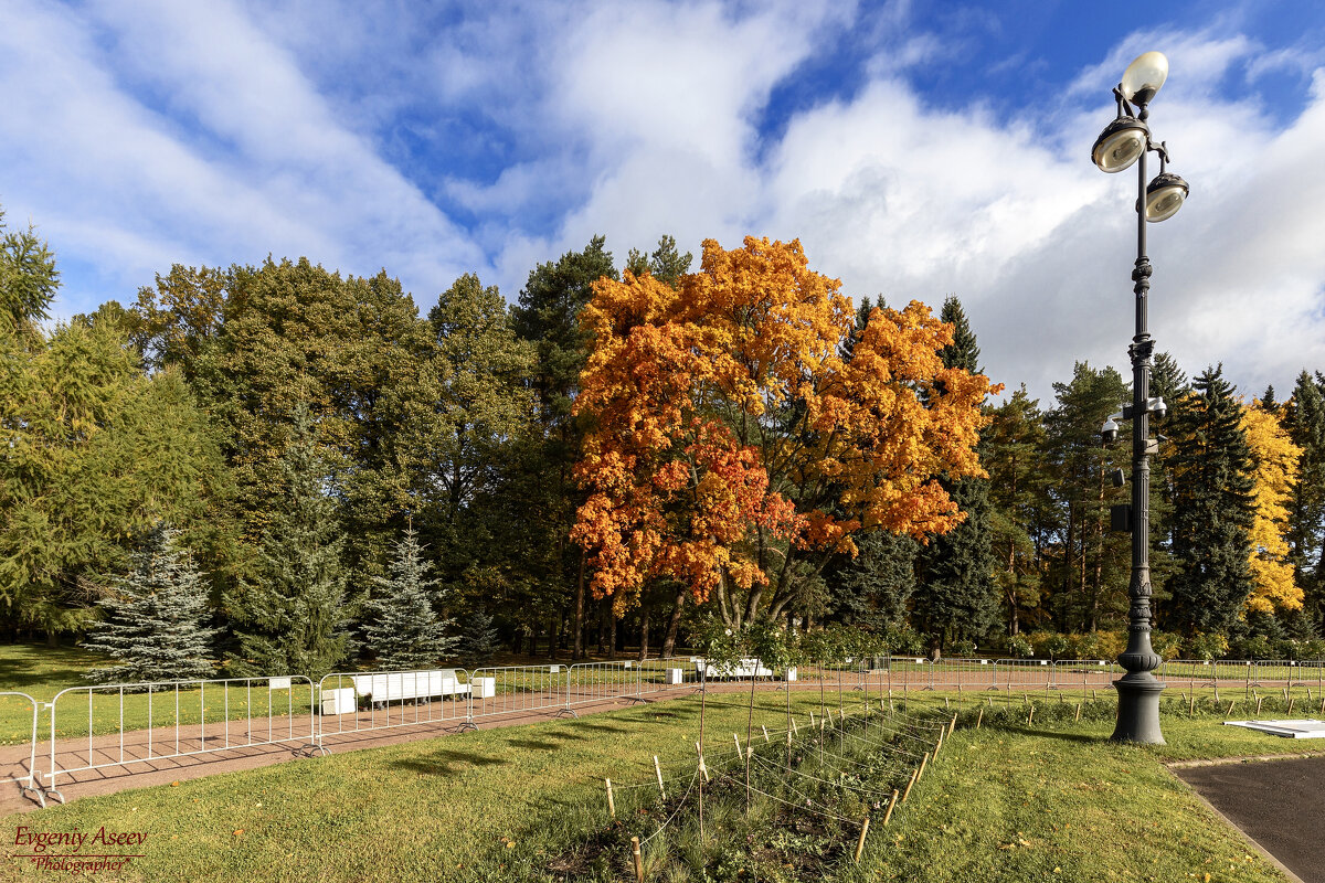 Уж небо осенью дышало - Евгений Уж небо осенью дышало - Евгений