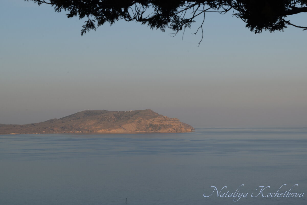 Природа Крыма - Amazing Cosmea