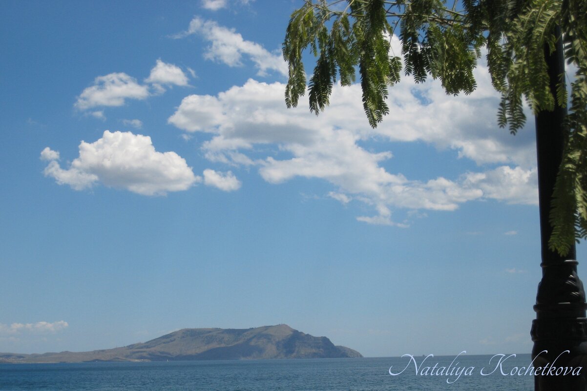 Природа Крыма - Amazing Cosmea