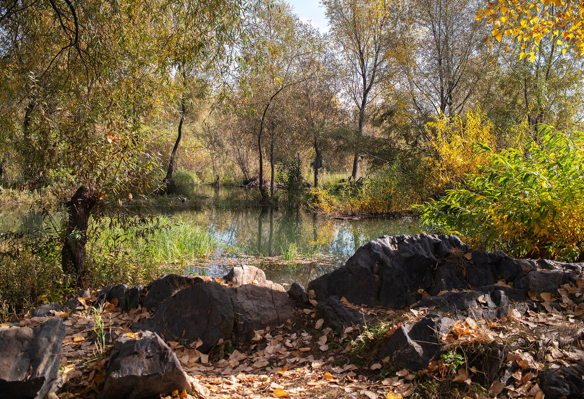 Осень - Михаил Измайлов