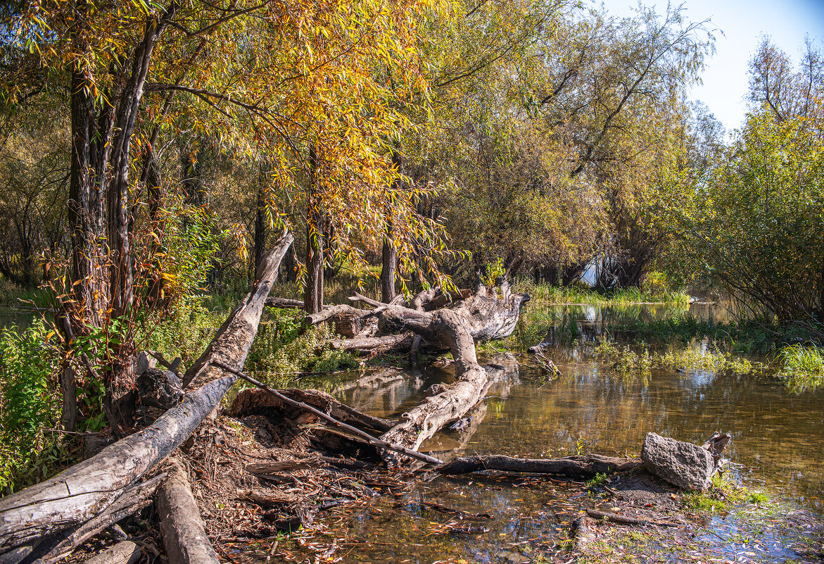 Осень - Михаил Измайлов