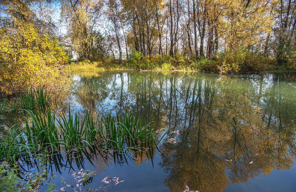 Осень - Михаил Измайлов