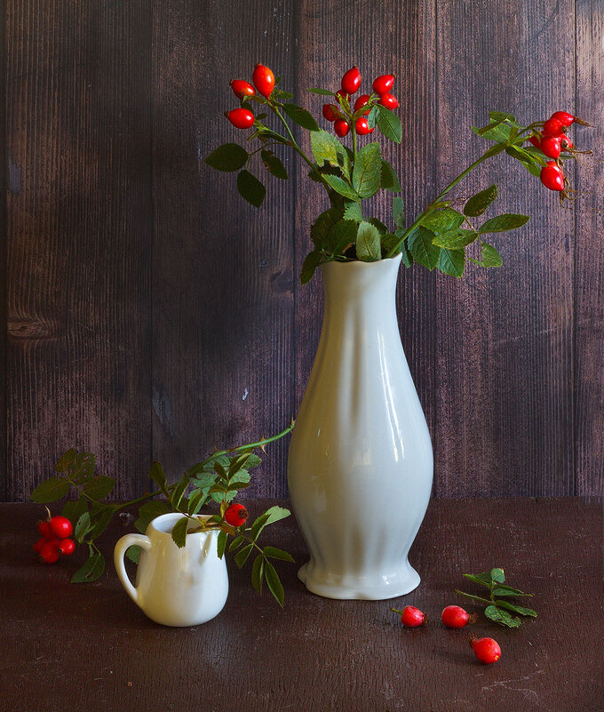 шиповник - Наталья S шиповник - Наталья S