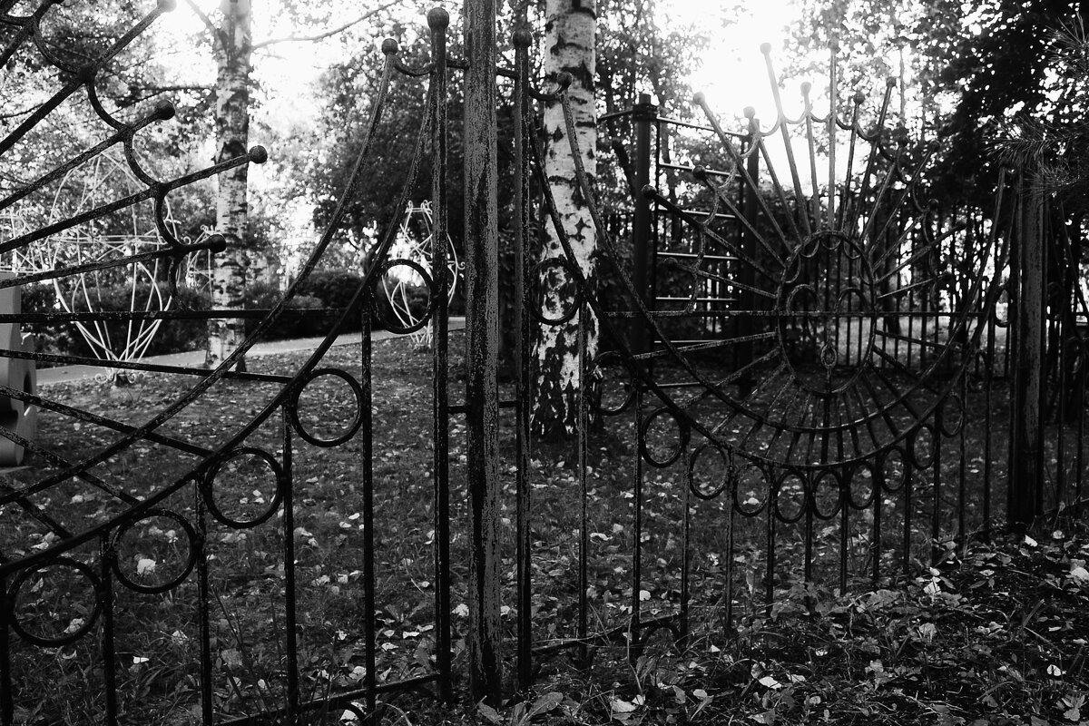 17 - Василий Палий