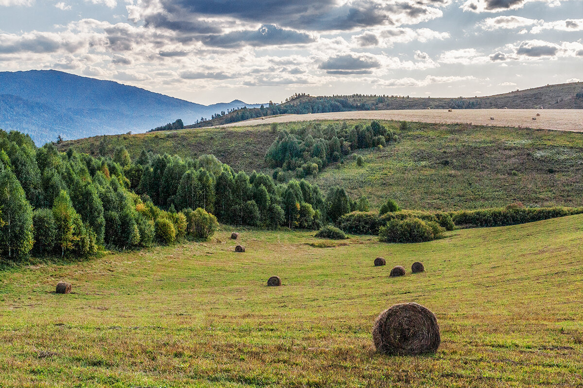 Риддер - Дмитрий 