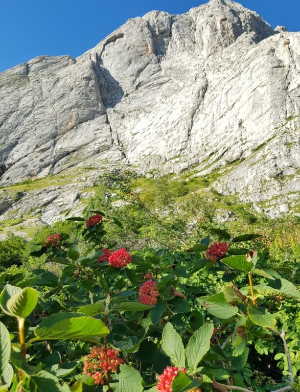 ЗАПАДНЫЙ КАВКАЗ. Пшехский водопад - Tata Wolf