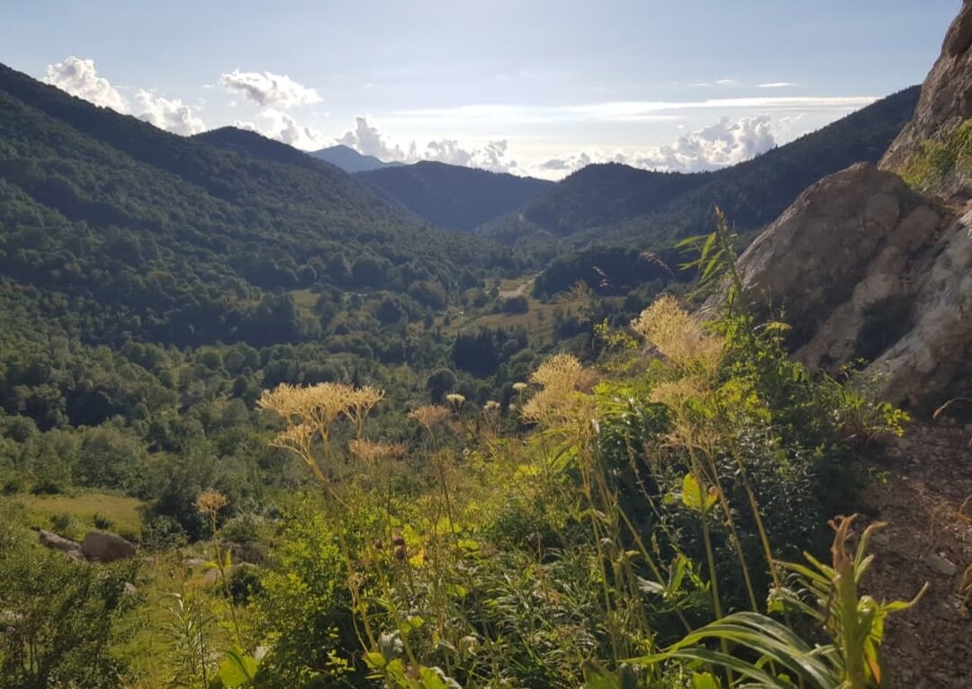 ЗАПАДНЫЙ КАВКАЗ. - Tata Wolf