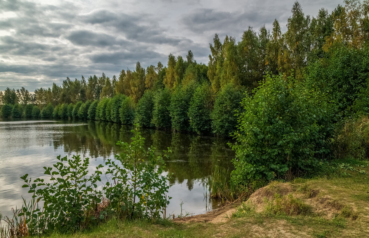 Цвет осени 3 - Андрей Дворников
