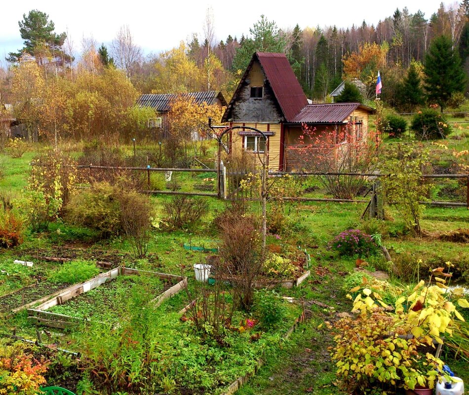 ОСЕННЕЕ - Виктор Никитенко