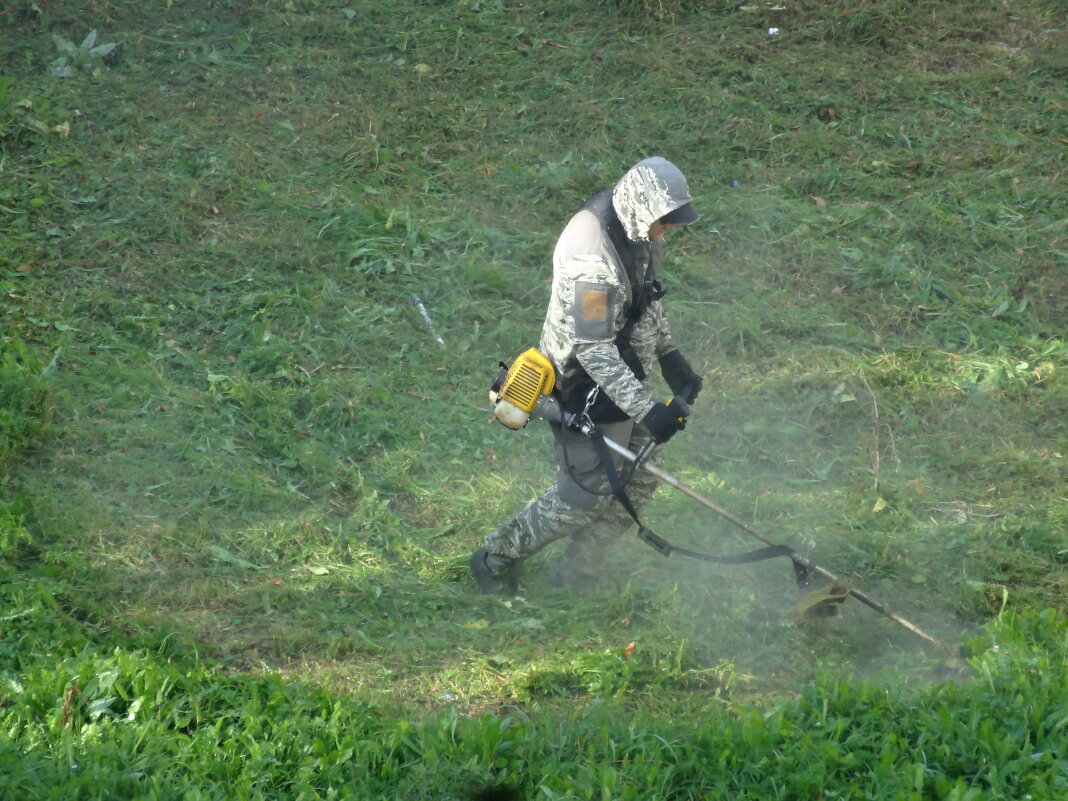 ПОКОС ТРАВЫ В ПАРКЕ - СЕРГЕЙ ФИЛОЧКИН ПОКОС ТРАВЫ В ПАРКЕ - СЕРГЕЙ ФИЛОЧКИН