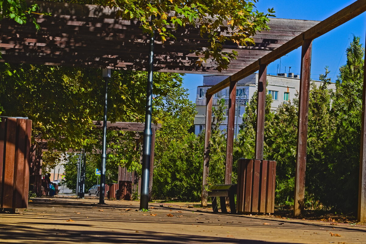 Осенния аллея - Giant Tao / Осенния аллея - Giant Tao /