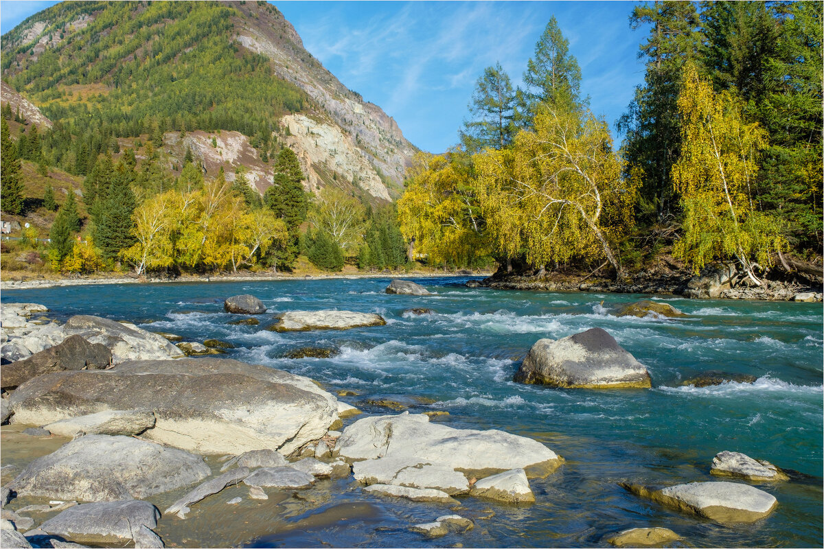 **** - Алексей Мезенцев