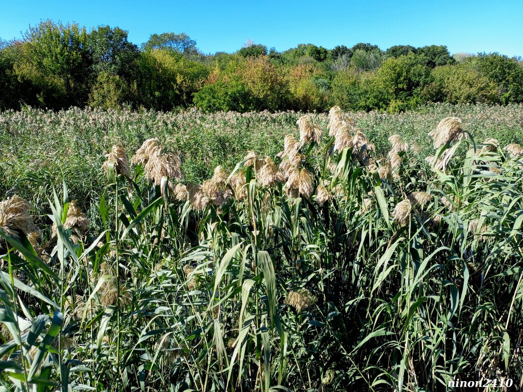 В ростовском экопарке Первая миля - Нина Бутко