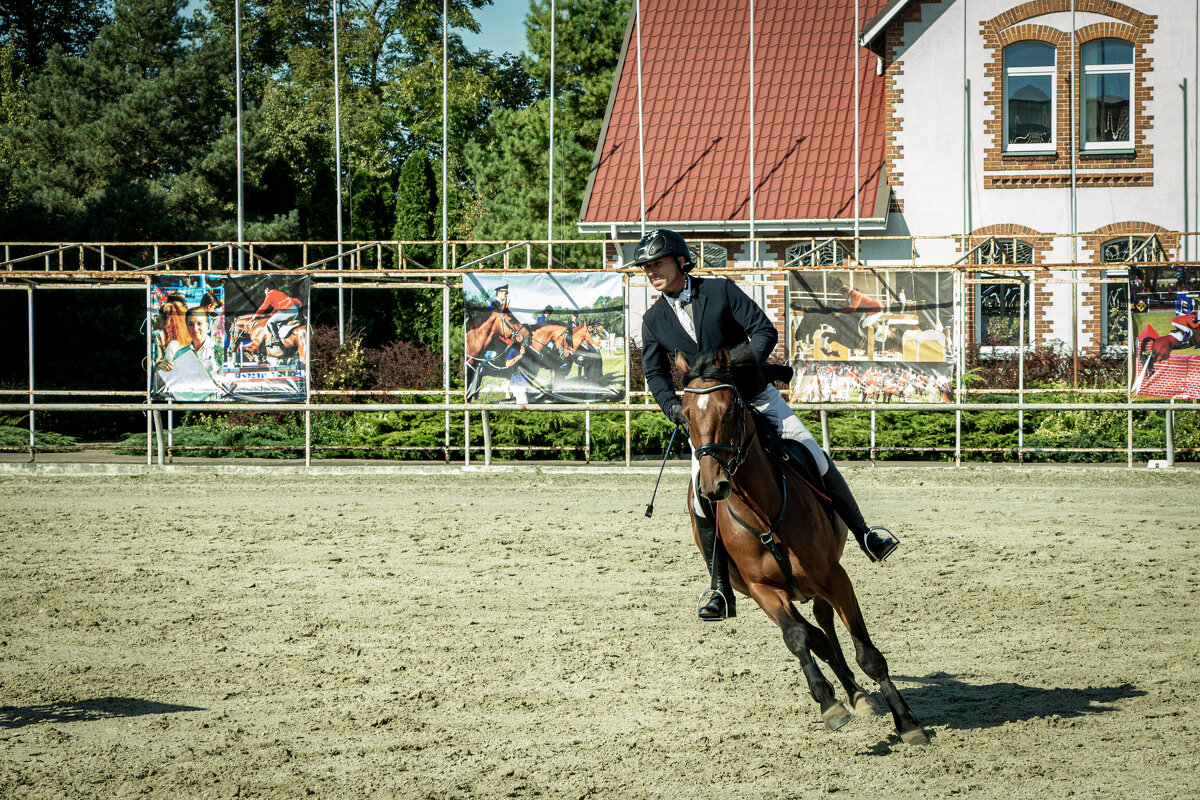 Это конкур - Sergey 