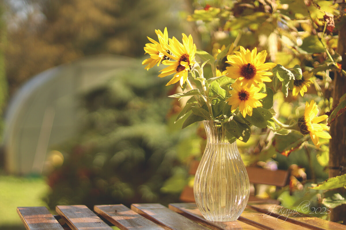 *** - Елена Kазак (selena1965) *** - Елена Kазак (selena1965)