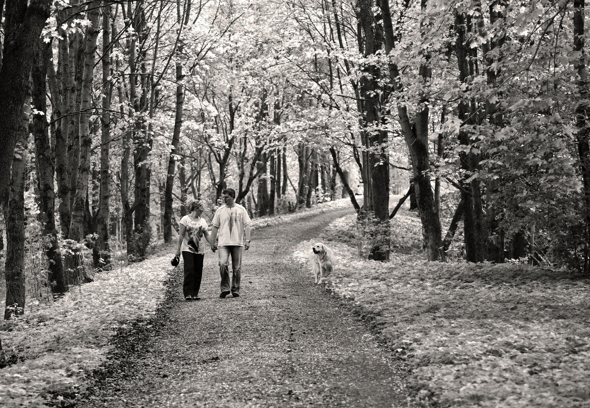Прогулка в Гатчинском парке - Наталья 