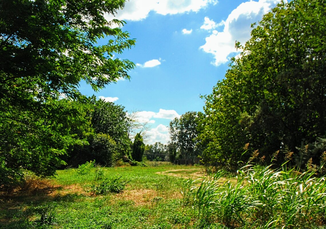 Сентябрь. - Владимир 