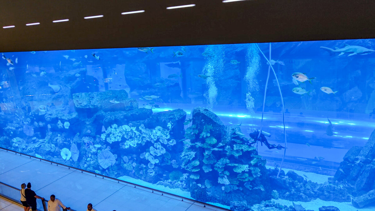 Где-то в Дубае - Boris Zhukovskiy