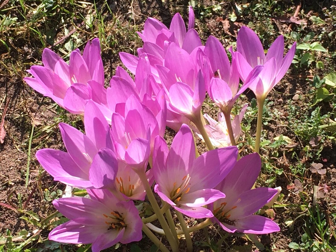 22 сентября 2025 года... - Владимир Павлов