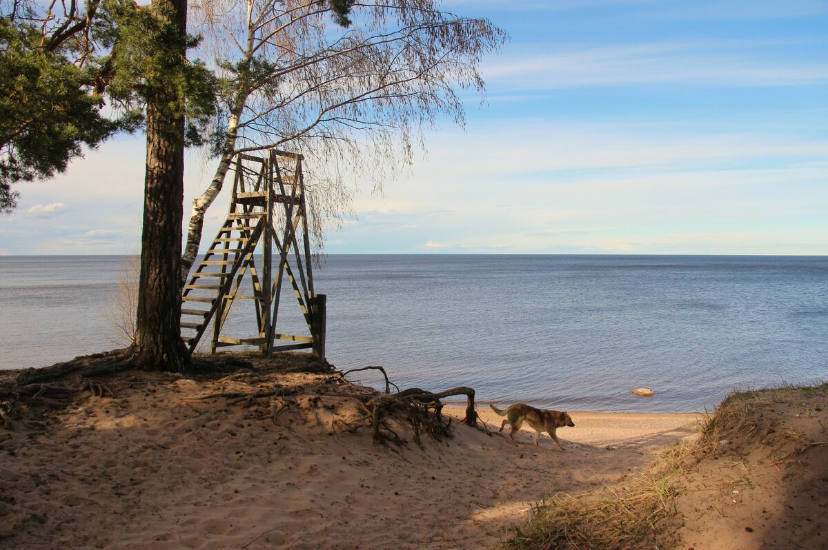 Ладожское Озеро - Наталья Герасимова
